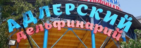 Адлерский дельфинарий